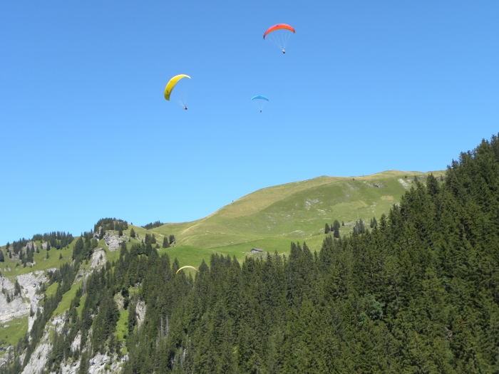 Swiss Paragliding 2